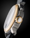 Polluce Stainless and Gold Watch