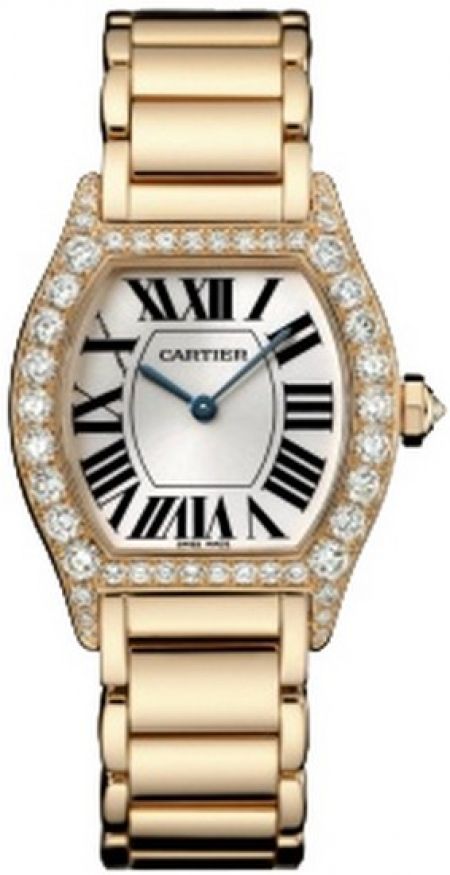 Cartier Tortue WA50703I